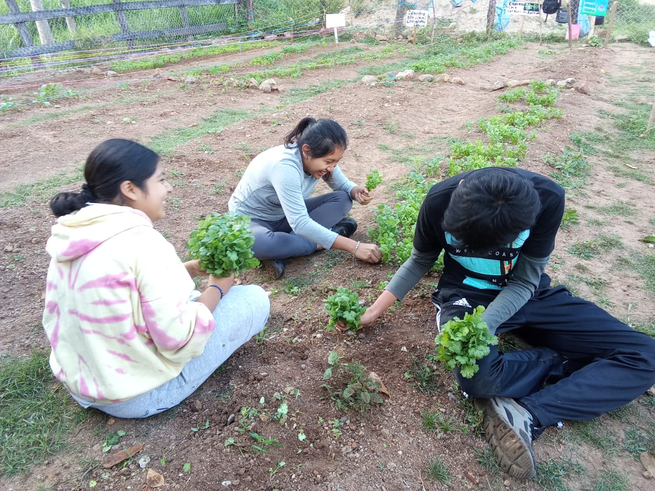 Youth education program